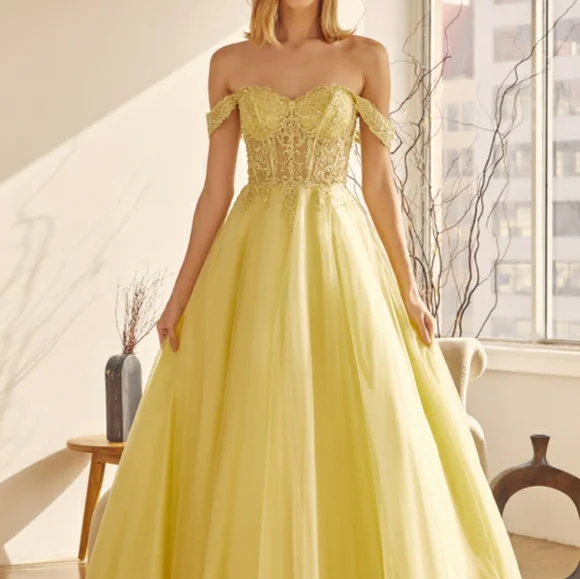 New long navy, royal, yellow, off the shoulder embroidered tulle ball gown dress - Picture 2 of 13